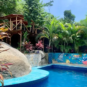 Kimara Tayrona Zaino